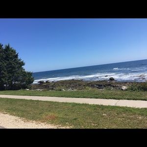 Meet your Posher, Kyra